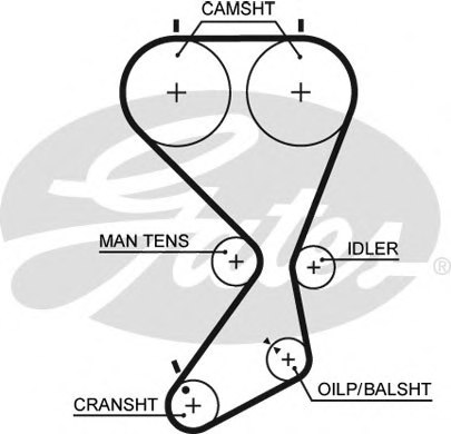 2431238020,KIA 2431238020 Timing Belt for KIA