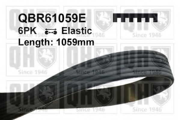 MAPCO V-Ribbed Belts 240975 MAPCO V-Ribbed Belts 240975
