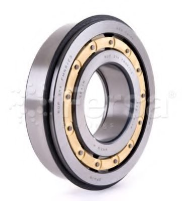 190503 1905003,IVECO 1905003 Wheel Bearing for IVECO