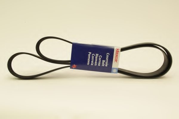 FEBI BILSTEIN 29061 Keilrippenriemen