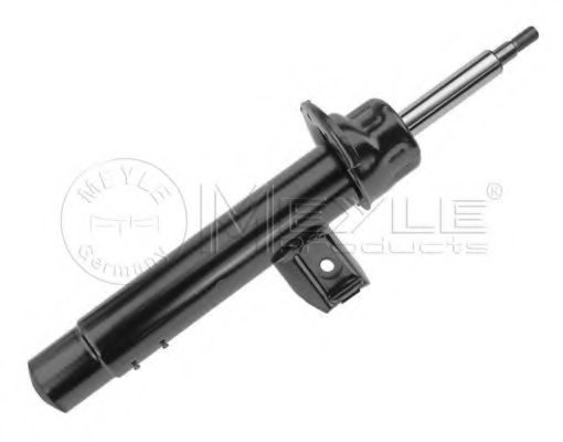 31316773256,BMW 31 31 6 773 256 Shock Absorber for BMW
