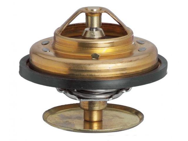 STANT  48089 Thermostat