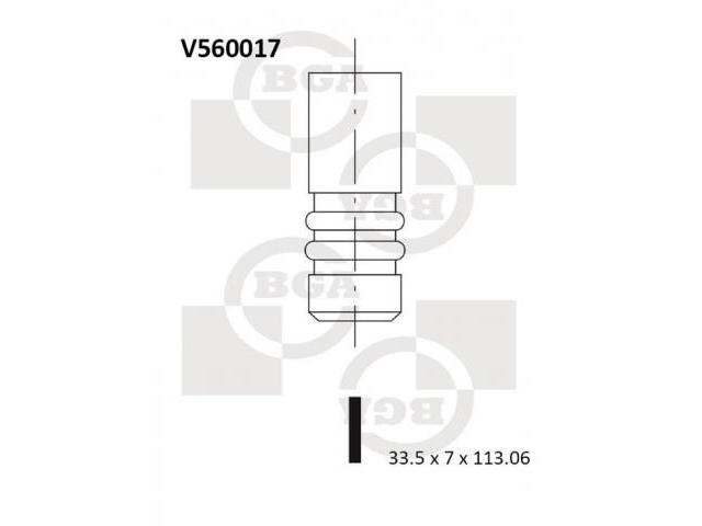 BGA  V560017 Intake Valve