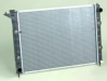 DPI 2053 Radiator, engine cooling
