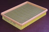 OPEL 10421389 Air Filter