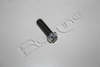 2453242500 SCREW ROCKER ARM ADJUSTING