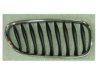 VARIOUS MFR  BM1200217 Grille