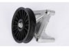  10055890 Idler Pulley
