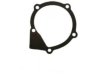  122531 Water Pump Gasket