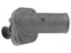 SATURN 21006065 Thermostat
