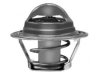 GENERAL MOTORS 12323751 Thermostat