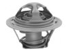 GENERAL MOTORS 19137212 Thermostat