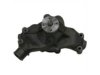 瑞安汽配 1301700 Water Pump