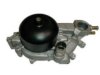 瑞安汽配 1307290 Water Pump
