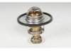 OEM 12597583 Thermostat