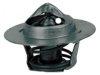 ACDELCO  13185 Thermostat