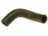 HONDA 19508P72000 Heater Hose / Pipe