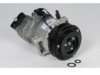 OEM 13414019 A/C Compressor