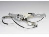 15934641 Window Regulator & Motor Assembly