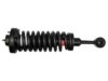 MONROE  171369 Strut / Coil Spring / Mount Assembly