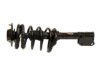 MONROE  172219 Strut / Coil Spring / Mount Assembly