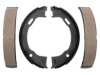 OEM 18039359 Parking Brake Shoe