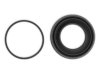 OEM 18031495 Caliper Repair Kit