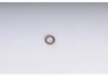 OEM 22516256 Fuel Injector O-Ring
