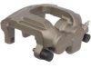  193867 Caliper