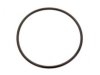  1972943 Distributor Seal