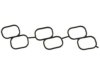 OEM 1717631010 Plenum Gasket