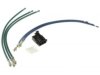 OEM 5102406AA Blower Motor Connector