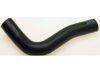 HONDA 19501PM3000 Radiator Lower Hose