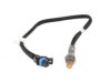  21024460 Oxygen (O2) Sensor