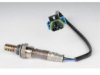 OEM 12572705 Oxygen (O2) Sensor