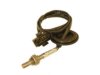 BECKARNLEY 1564186 Oxygen (O2) Sensor