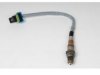 OEM 12612430 Oxygen (O2) Sensor