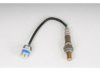 OEM 12562621 Oxygen (O2) Sensor