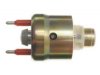 OEM 17113080 Fuel Injector