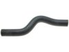 HONDA 19501P6WA01 Radiator Upper Hose