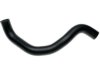HONDA 19505RBA000 Radiator Lower Hose