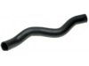 HONDA 19501RGLA01 Radiator Upper Hose