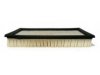 CHAMPION LABS  AF4831 Air Filter