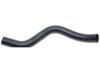GENERAL MOTORS 19163163 Radiator Upper Hose