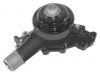 OEM 12456231 Water Pump