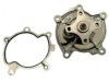  251697 Water Pump