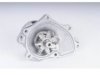 OEM 19185381 Water Pump