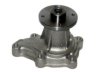 252119 Water Pump