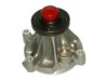GENERAL MOTORS 12493949 Water Pump