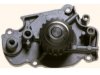 HONDA 19200P14A01 Water Pump